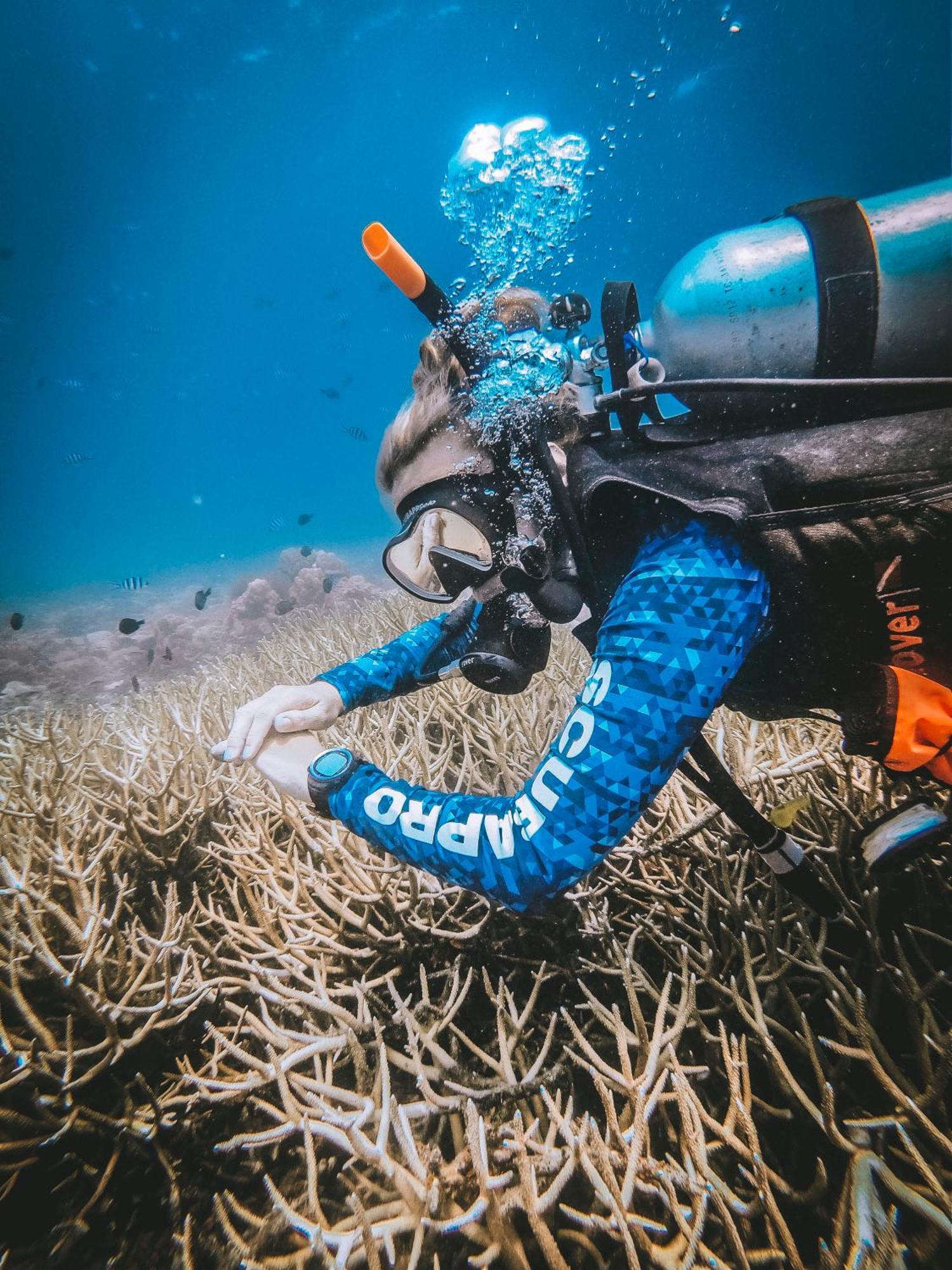 Dpm Koh Tao Diving Hotel & Bar Экстерьер фото