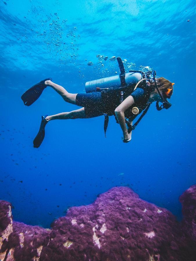 Dpm Koh Tao Diving Hotel & Bar Экстерьер фото
